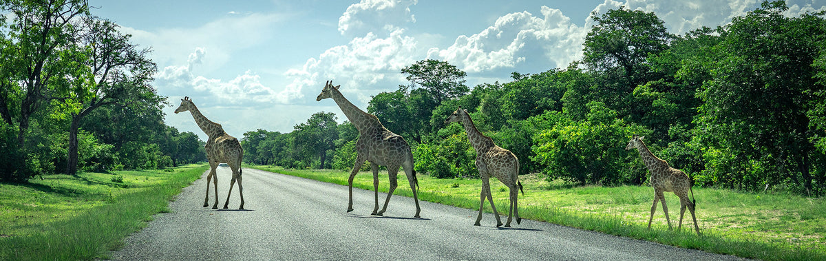 Ekspedycja Namibia 2025